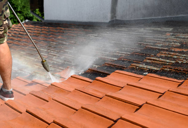 Best Deck Cleaning Services  in Cascade Chipita Park, CO